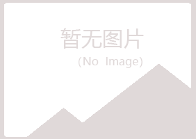 黄山区敷衍能源有限公司